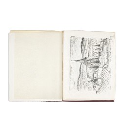 Hunawihr. Vignoble d'Alsace.