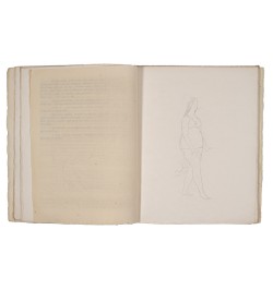 Dessins sur les danses d'Isadora Duncan