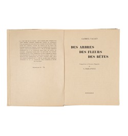 Des arbres, des fleurs, des bêtes.