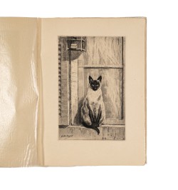 Des arbres, des fleurs, des bêtes.