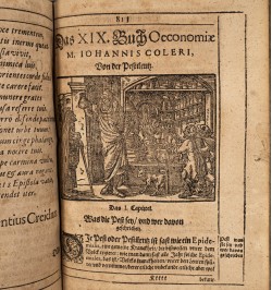 [Pharmacie/botanique] Oeconomia oder Hausbuchs