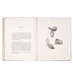 [Horlogerie] Collection archéologique du Prince Pierre Soltykoff.