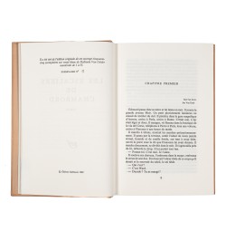 Les escaliers de Chambord.