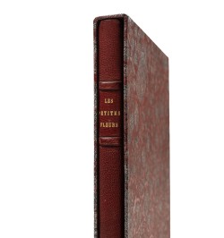 Les petites fleurs de Saint François d'Assise.