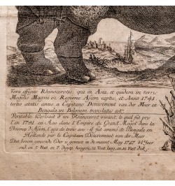 Clara le rhinocéros - Gravure hollandaise du XVIIIe siècle