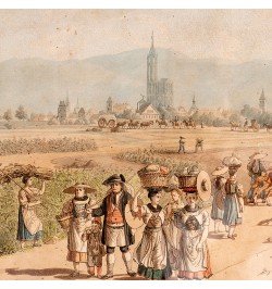 Vue de Strasbourg.