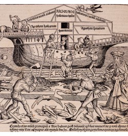[Liber Chronicarum/1493] Construction de l'arche de Noé.