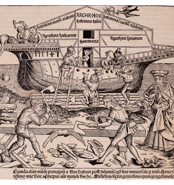 [Liber Chronicarum/1493] Construction de l'arche de Noé.