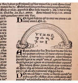 [Liber Chronicarum/1493] Construction de l'arche de Noé.