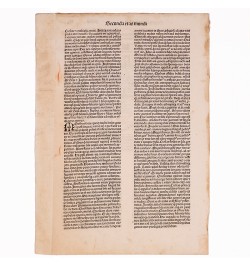 [Liber Chronicarum/1493] Construction de l'arche de Noé.