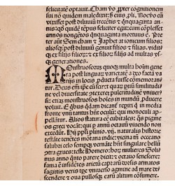 [Liber Chronicarum/1493] Construction de l'arche de Noé.