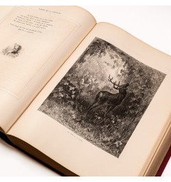 [Gustave Doré] Fables de la Fontaine.