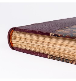 La Jeunesse de Balzac. Balzac imprimeur 1825-1828‎.