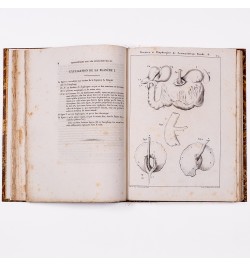 Mémoires de la société du Muséum d'histoire naturelle de Strasbourg. Tome second.