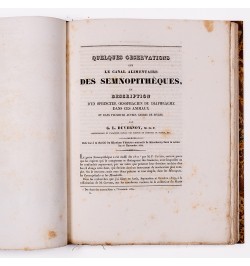 Mémoires de la société du Muséum d'histoire naturelle de Strasbourg. Tome second.