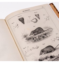 Mémoires de la société du Muséum d'histoire naturelle de Strasbourg. Tome second.