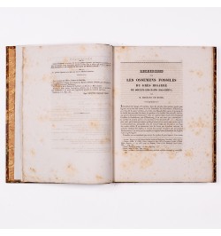 Mémoires de la société du Muséum d'histoire naturelle de Strasbourg. Tome second.