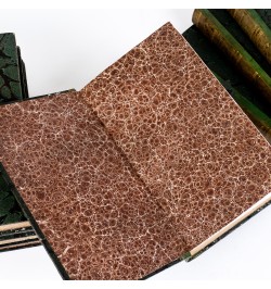 Mémoires de Bourrienne.