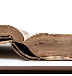 [Économie domestique et rurale] Oeconomus Prudens et Legalis.