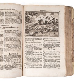 [Économie domestique et rurale] Oeconomus Prudens et Legalis.
