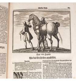 [Économie domestique et rurale] Oeconomus Prudens et Legalis.