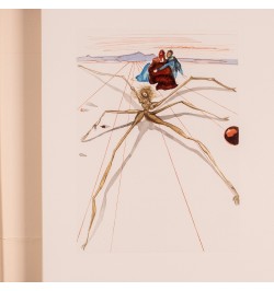 La divine comédie. L'enfer, le purgatoire, le paradis. Illustrations de Dali.