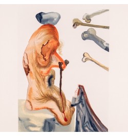La divine comédie. L'enfer, le purgatoire, le paradis. Illustrations de Dali.