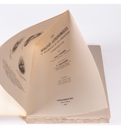 Les horloges astronomiques et monumentales