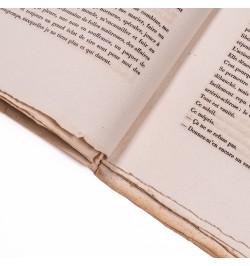 Une nuit dans la forêt. Premier fragment d'une autobiographie.