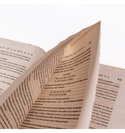 Une nuit dans la forêt. Premier fragment d'une autobiographie.