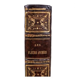 Les fleurs animées par J. J. Grandville.