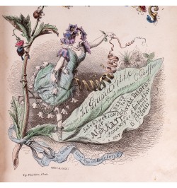 Les fleurs animées par J. J. Grandville.