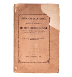 [Arboriculture] Pomologie de la France ou histoire et description de tous les fruits cultivés en France...