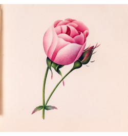 Aquarelle-miniature perfectionnée reflets métalliques et chatoyans et peinture à l'huile sur velours en six leçons...