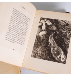 [Dédicace encadrée] Marc Chagall