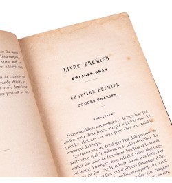 Le livre des soupes et des potages contenant plus de quatre cents recettes de potages français et étrangers.