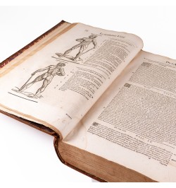 Les œuvres d'Ambroise Paré : conseiller et premier chirurgien du Roy.