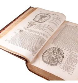 Les œuvres d'Ambroise Paré : conseiller et premier chirurgien du Roy.