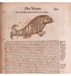 Les œuvres d'Ambroise Paré : conseiller et premier chirurgien du Roy.