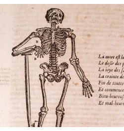 Les œuvres d'Ambroise Paré : conseiller et premier chirurgien du Roy.