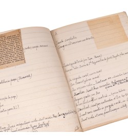 [Manuscrit] Proverbes, dictons, expressions latines courament employés par les allemands.
