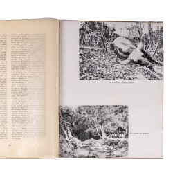 Journal de marche ca2.