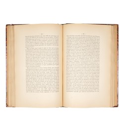 Les hypothèses cosmogoniques.