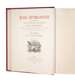 Musée entomologique illustré. Les coléoptères.