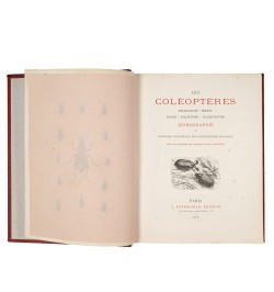 Musée entomologique illustré. Les coléoptères.