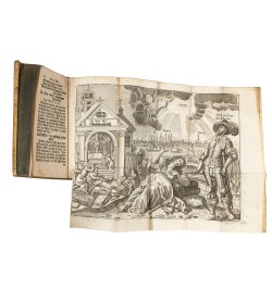 Auserlesene Merckwürdigkeiten, von Alten und neuen theologischen marckschreyen,