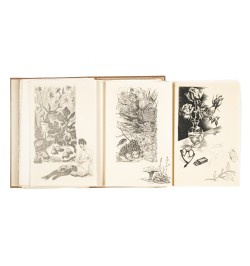 Les procédés originaux d'illustration : La gravure sur cuivre, La gravure sur bois et la lithographie.