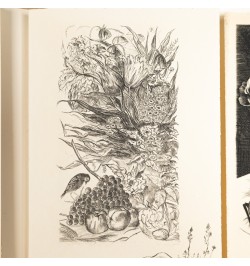 Les procédés originaux d'illustration : La gravure sur cuivre, La gravure sur bois et la lithographie.