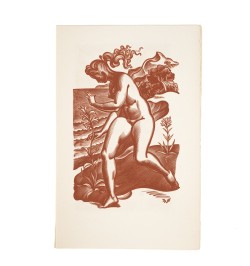Les procédés originaux d'illustration : La gravure sur cuivre, La gravure sur bois et la lithographie.