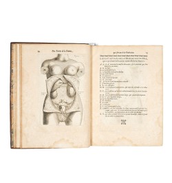 Œuvre de Mauriceau.